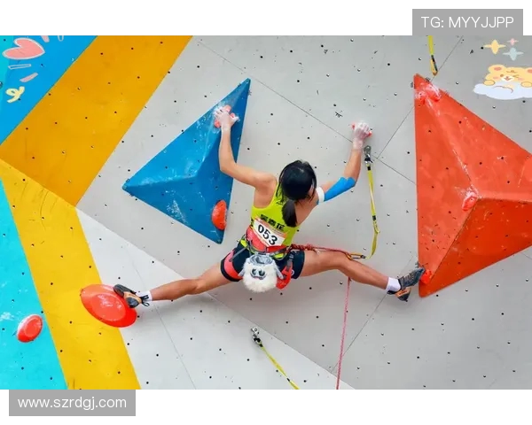 上海攀岩队在全国攀岩比赛经验排行榜中荣获第八名的佳绩分析