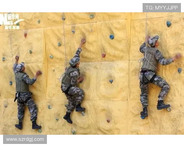 杭州攀岩队的运营体系与攀岩战术的深度结合探讨