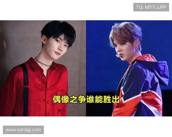 南北明星对决2018年谁才是更受欢迎的偶像之争与魅力分析